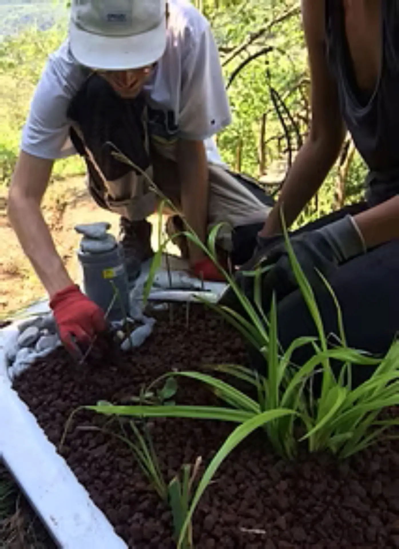 photo du site Gaïa Luna