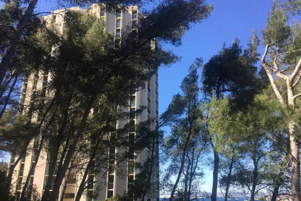 Balade guidée dans l'étonnant Parc du Roy d'Espagne