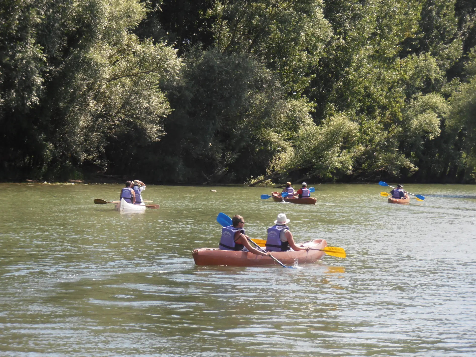 Bois de Maillance