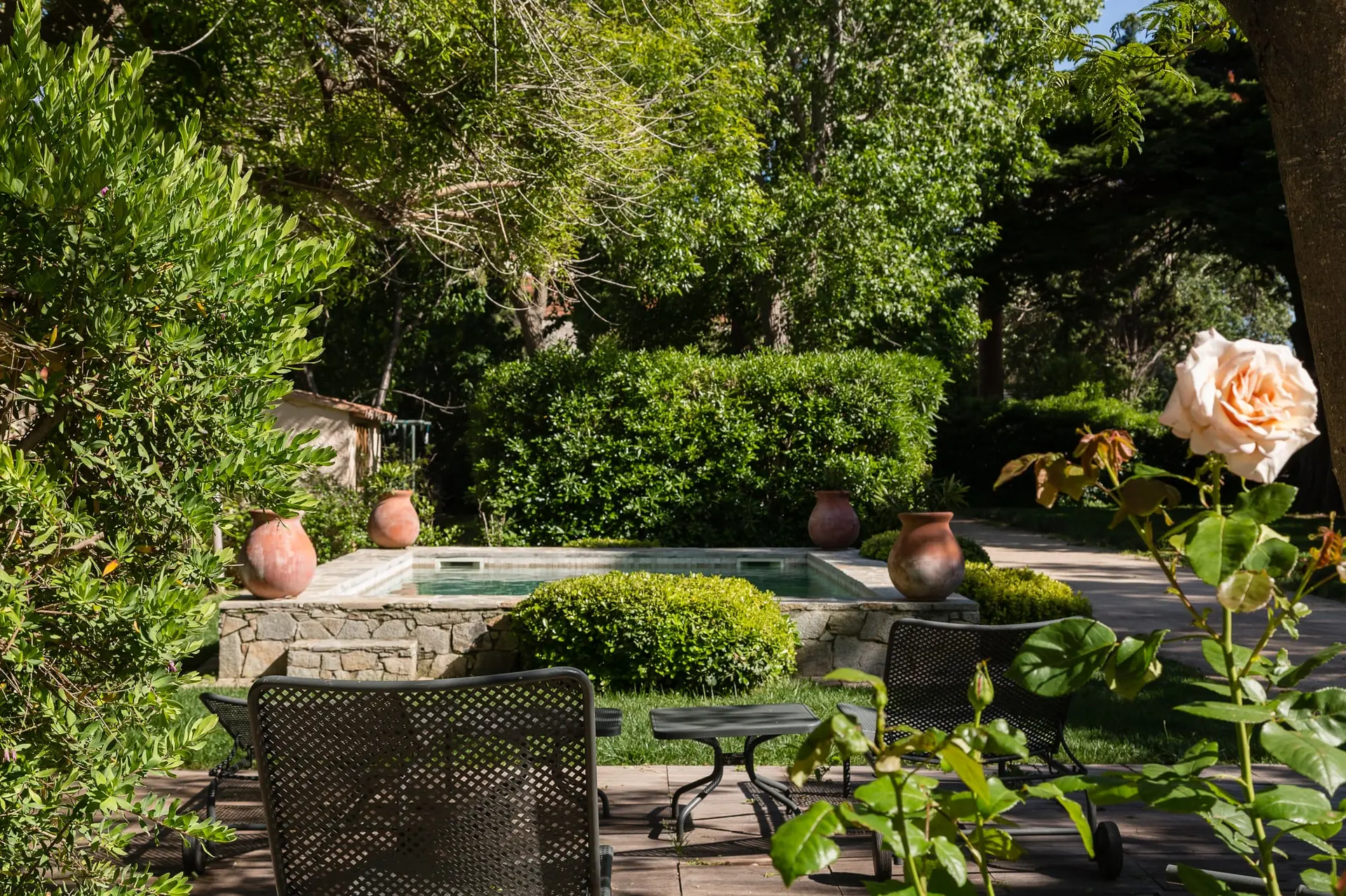 Cours de cuisine avec le chef Nicolas Ballin