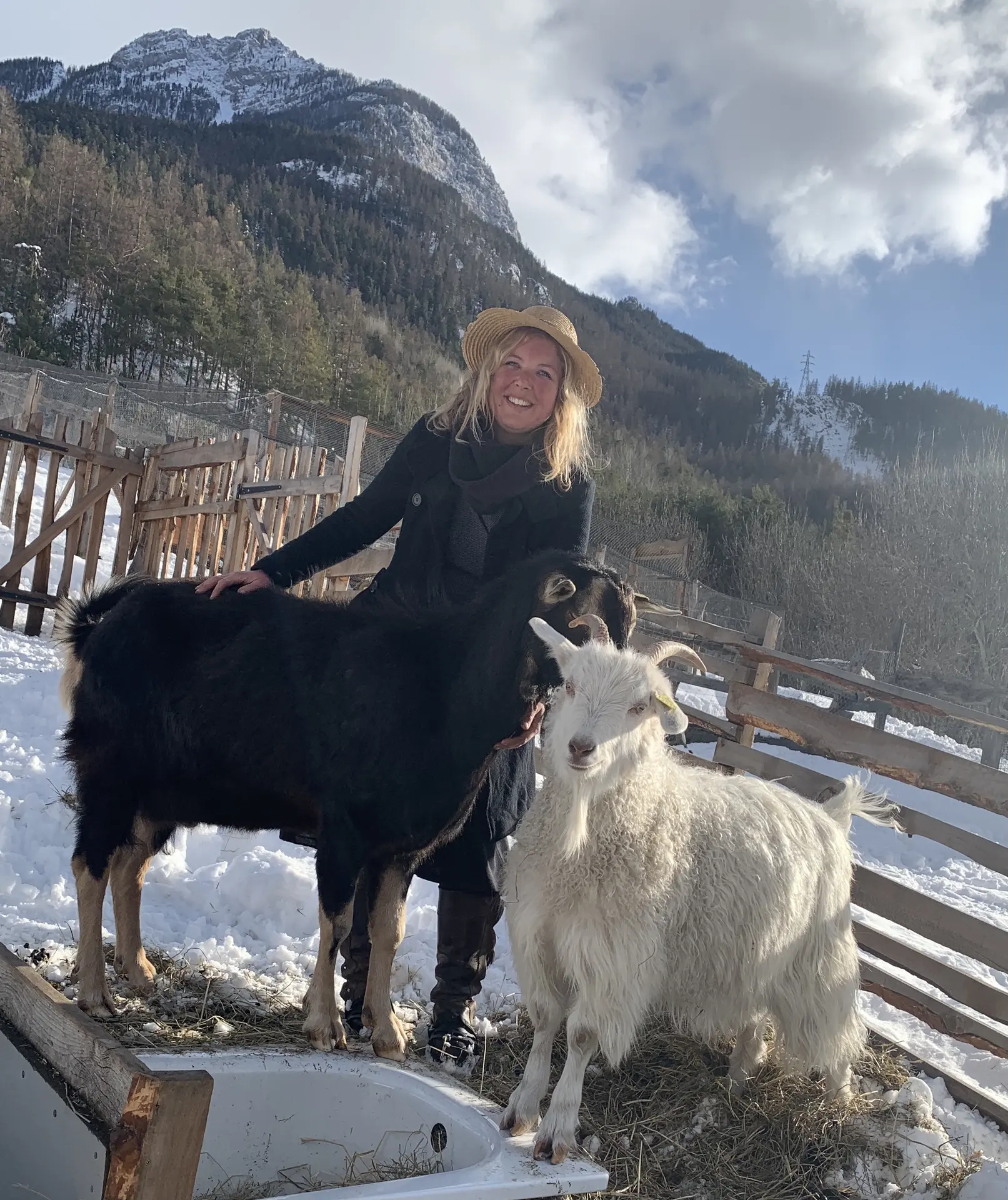 Les animaux de la ferme avec Julie