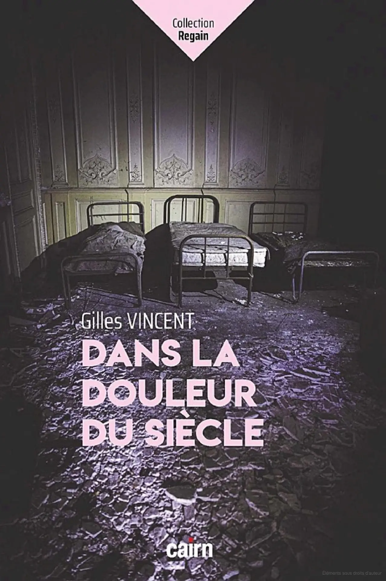 Gilles Vincent - Dans la douleur du siècle