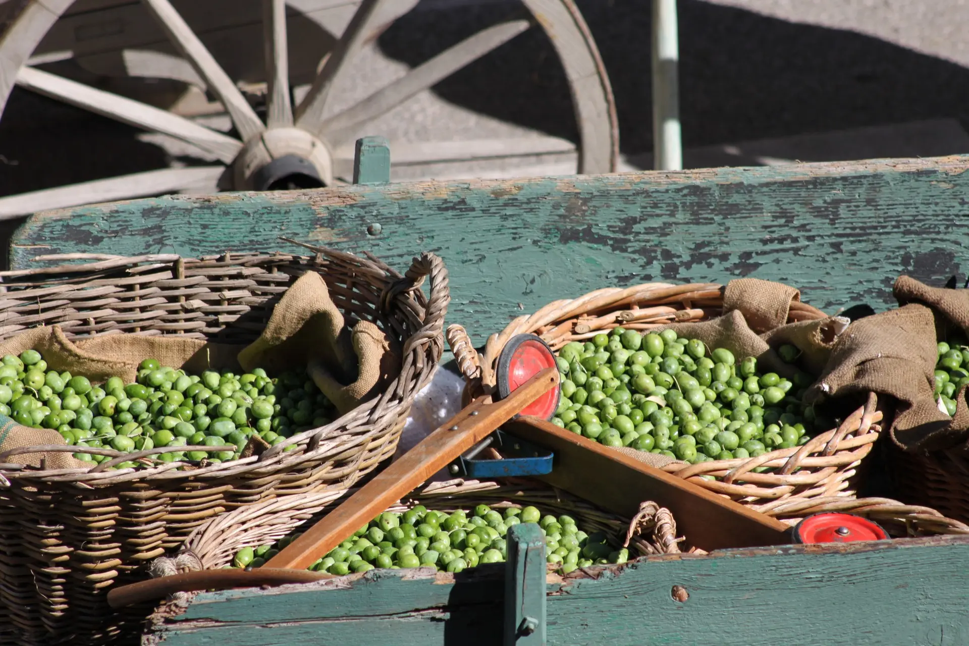 Green olives in wicker baskets