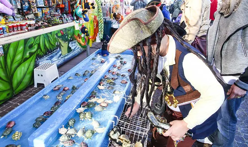 Fête du Mimosa : Le Carnaval des enfants