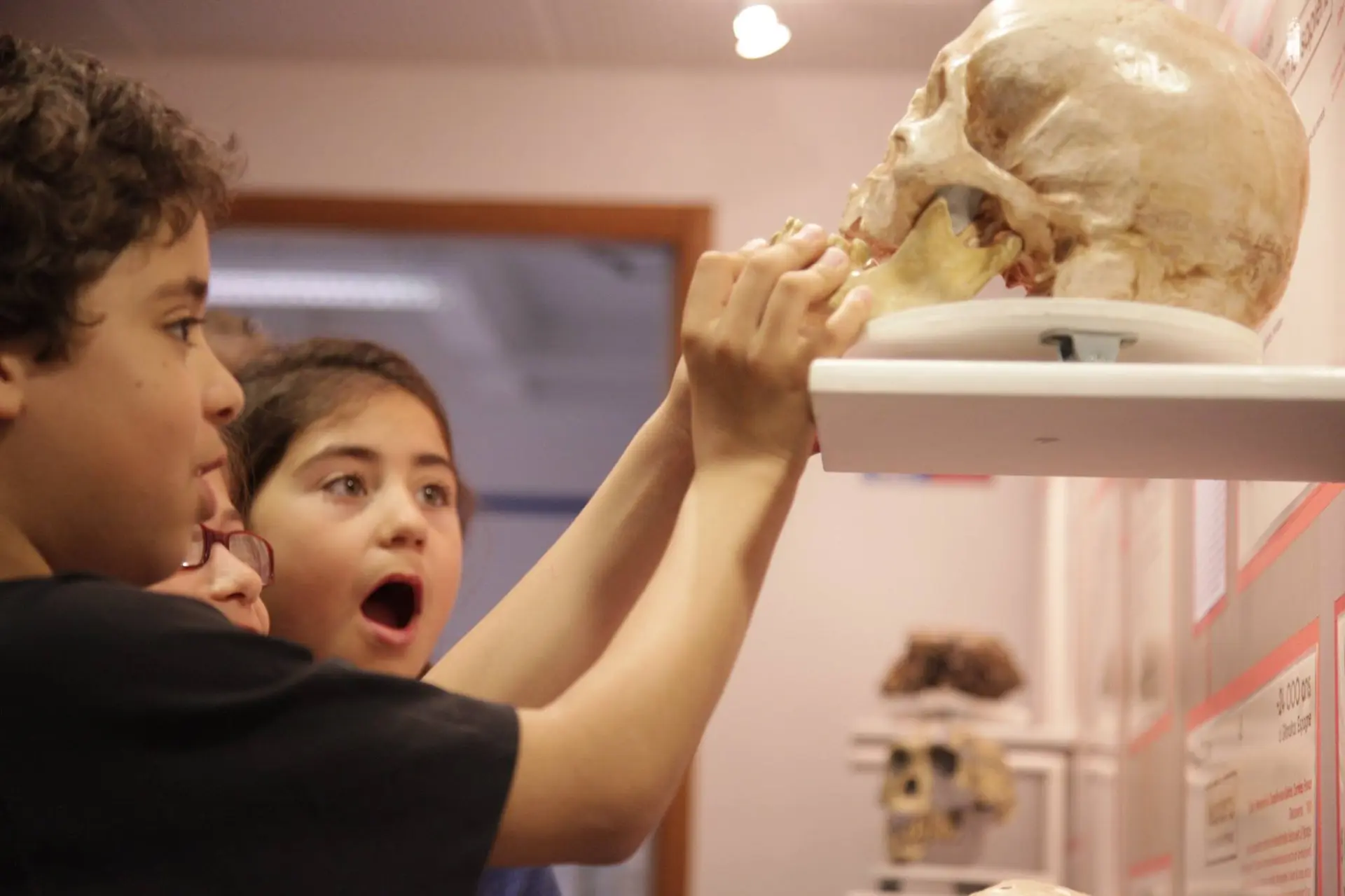 Photo prise dans le musée