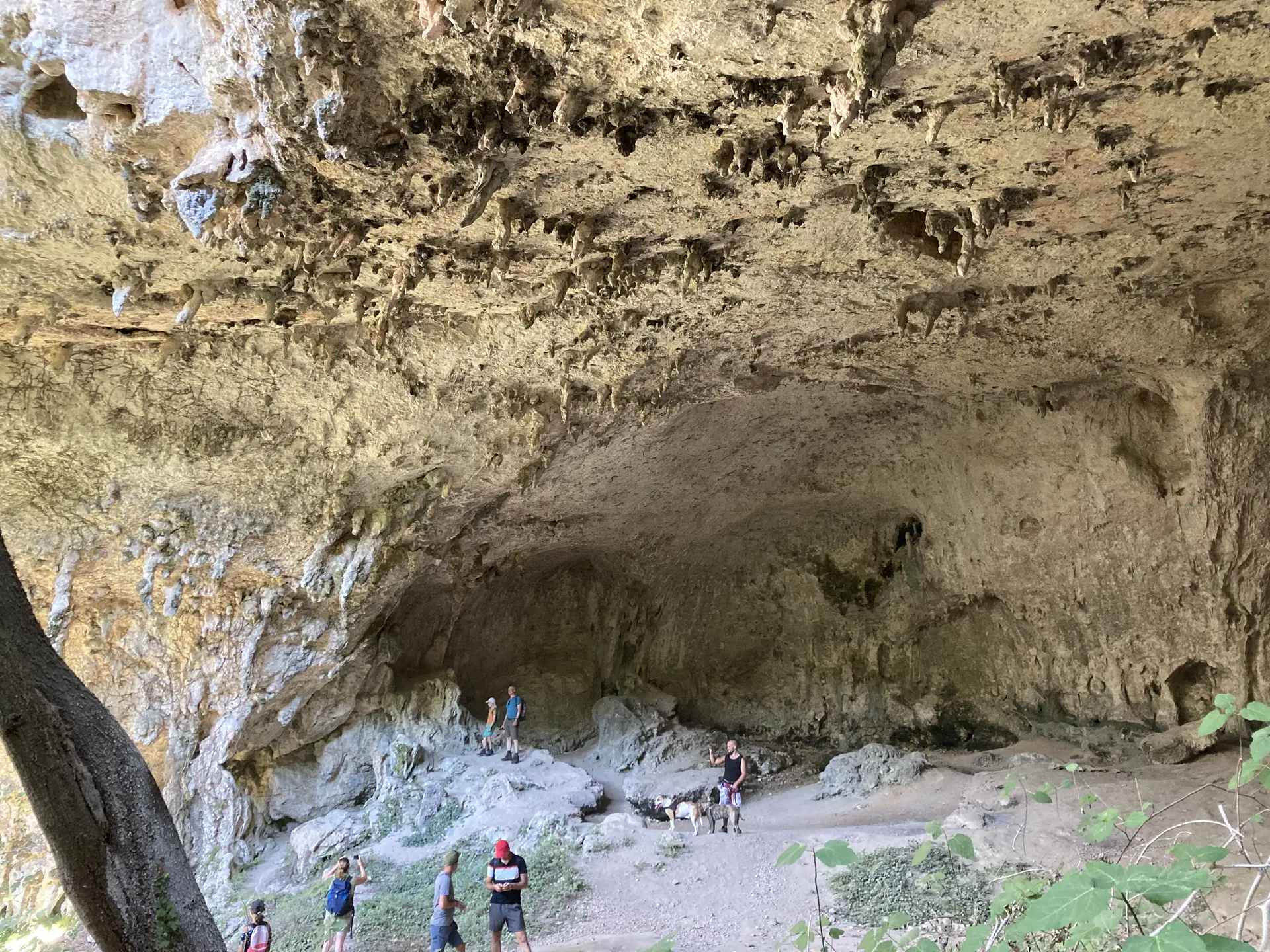 Rando Néolithique