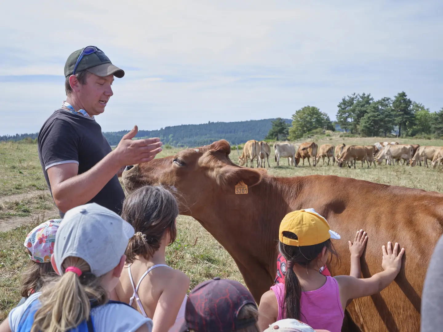 Visite de la ferme vach'Mont bio
