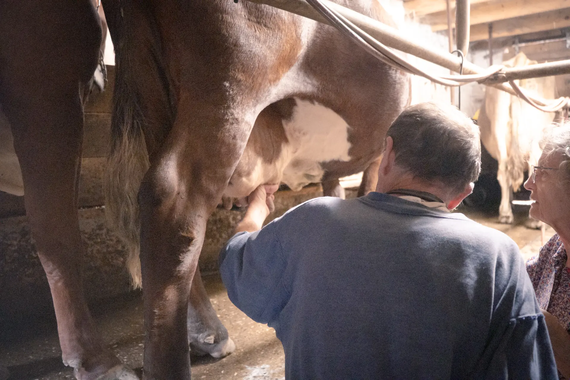 Visite de la ferme du Féto en alpage