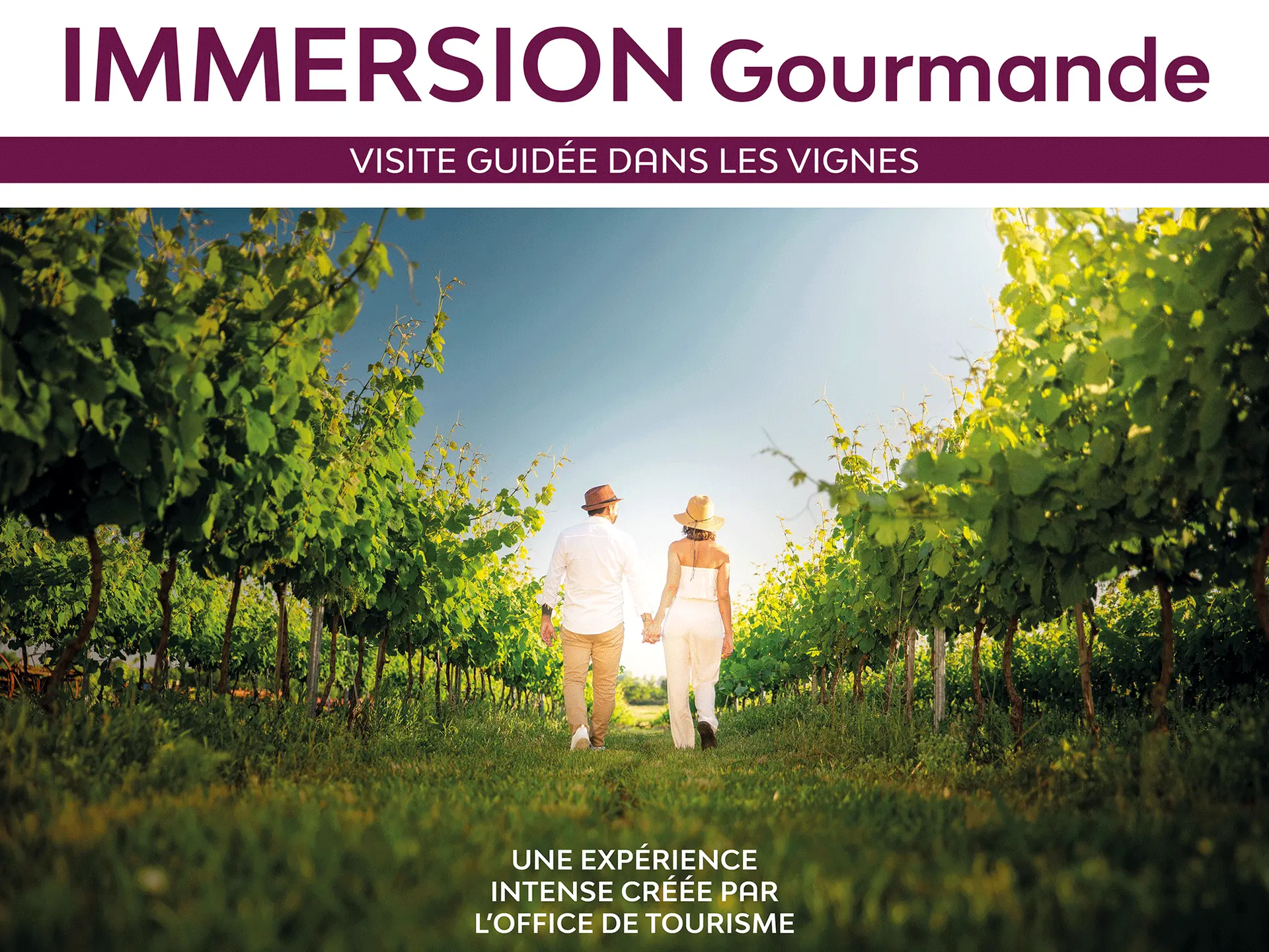 Immersion gourmande : Balade dans les vignes_Sainte-Maxime