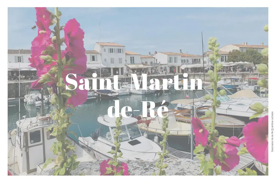 Petite braderie de livres de la Bibliothèque de Saint-Martin-de-Ré_Saint-Martin-de-Ré