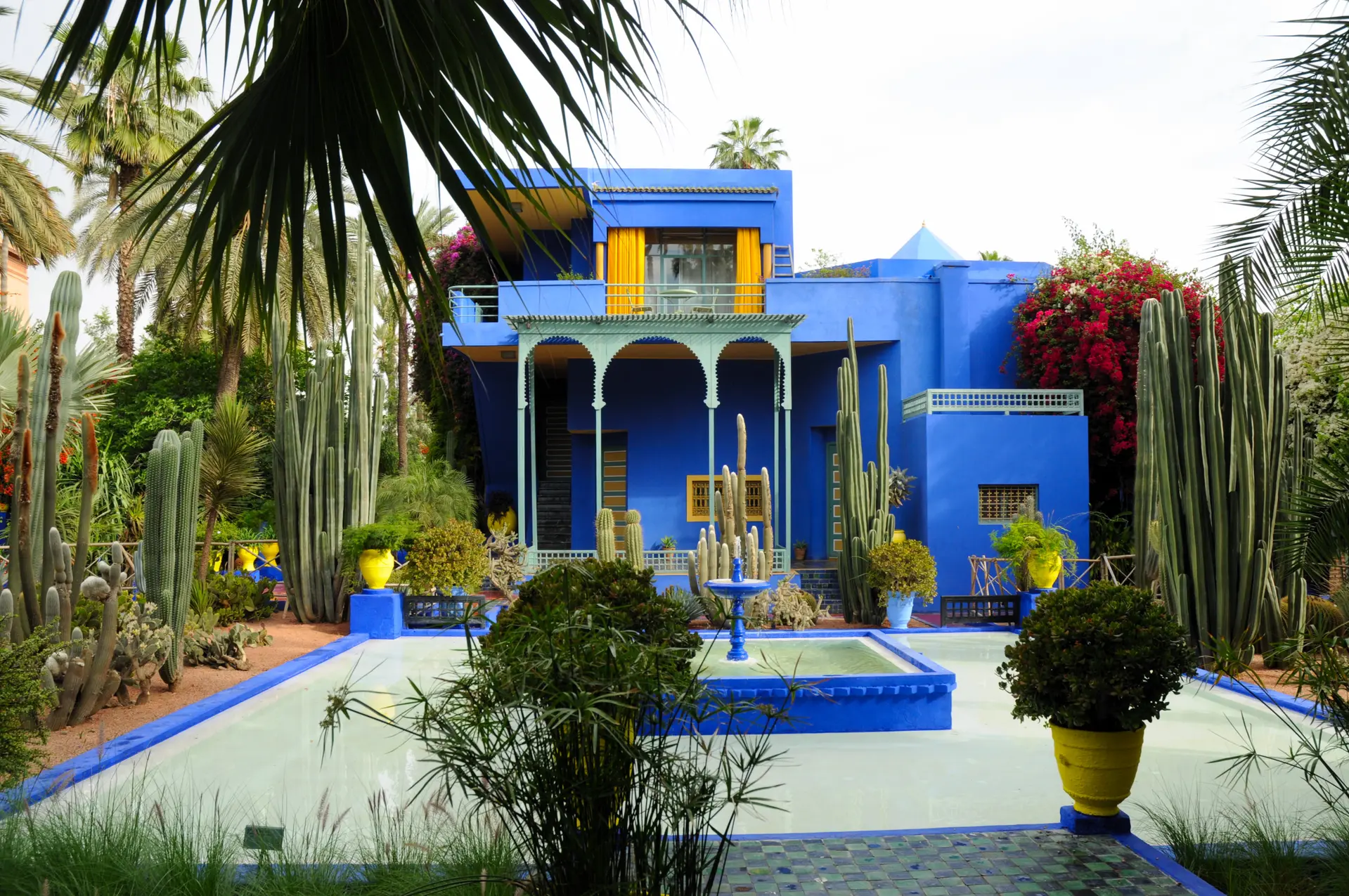 Le jardin des Majorelle