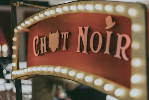 Chat noir