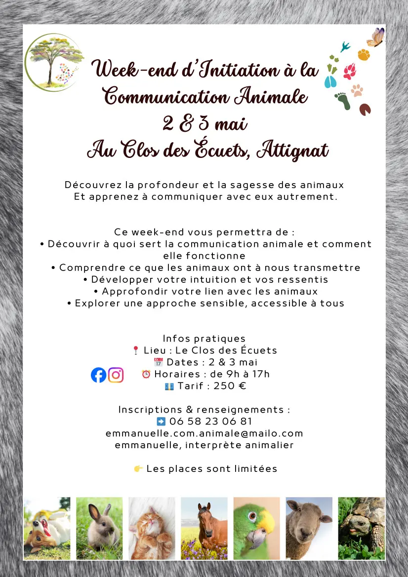 Affiche WE initiation à communication animale
