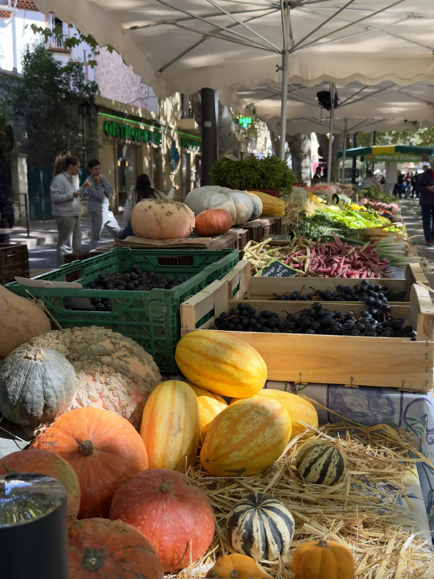 Foire agricole de la Saint-Michel_Gardanne
