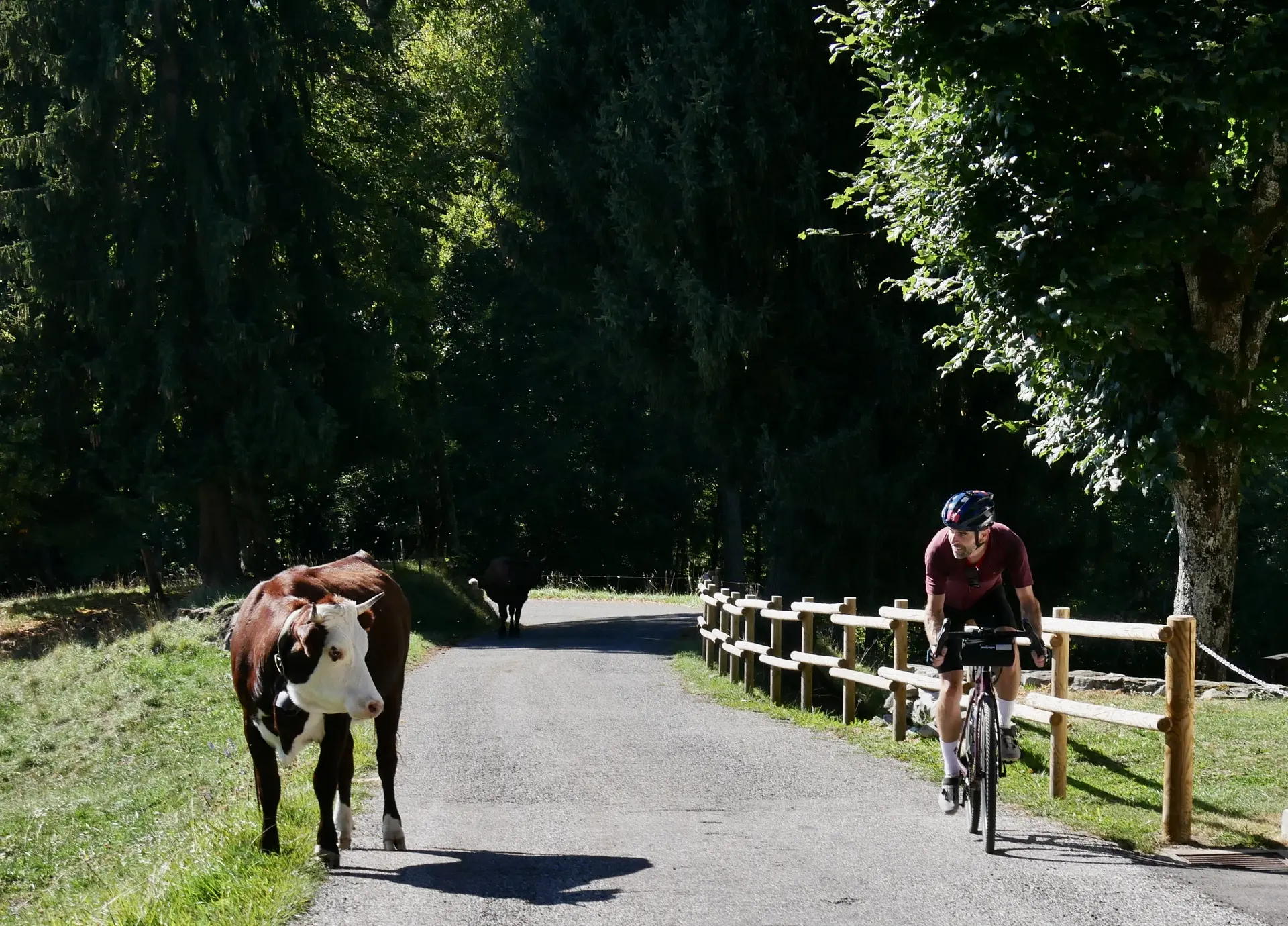 Alpvengers : le championnat des Sources du lac d'Annecy_Faverges-Seythenex
