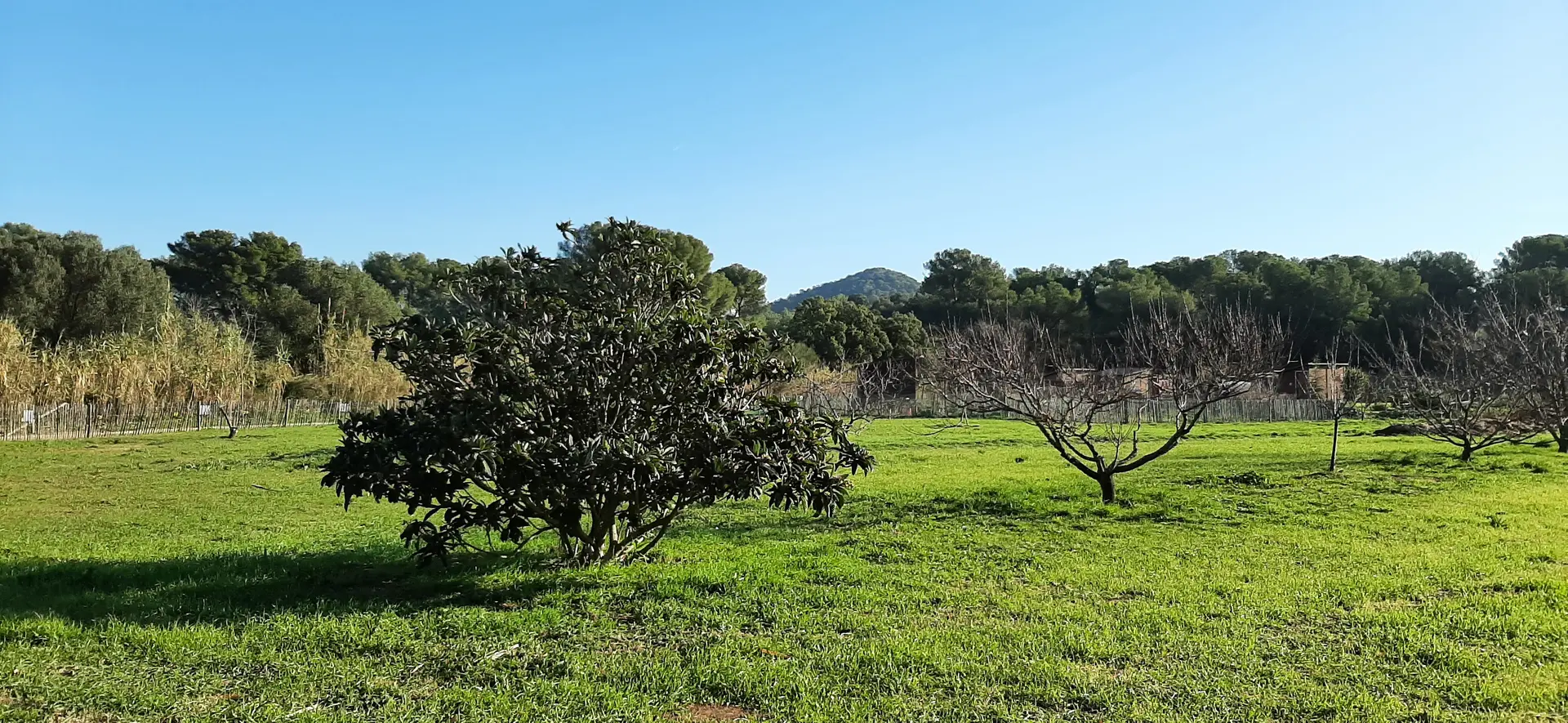 Espace nature La Brûlade