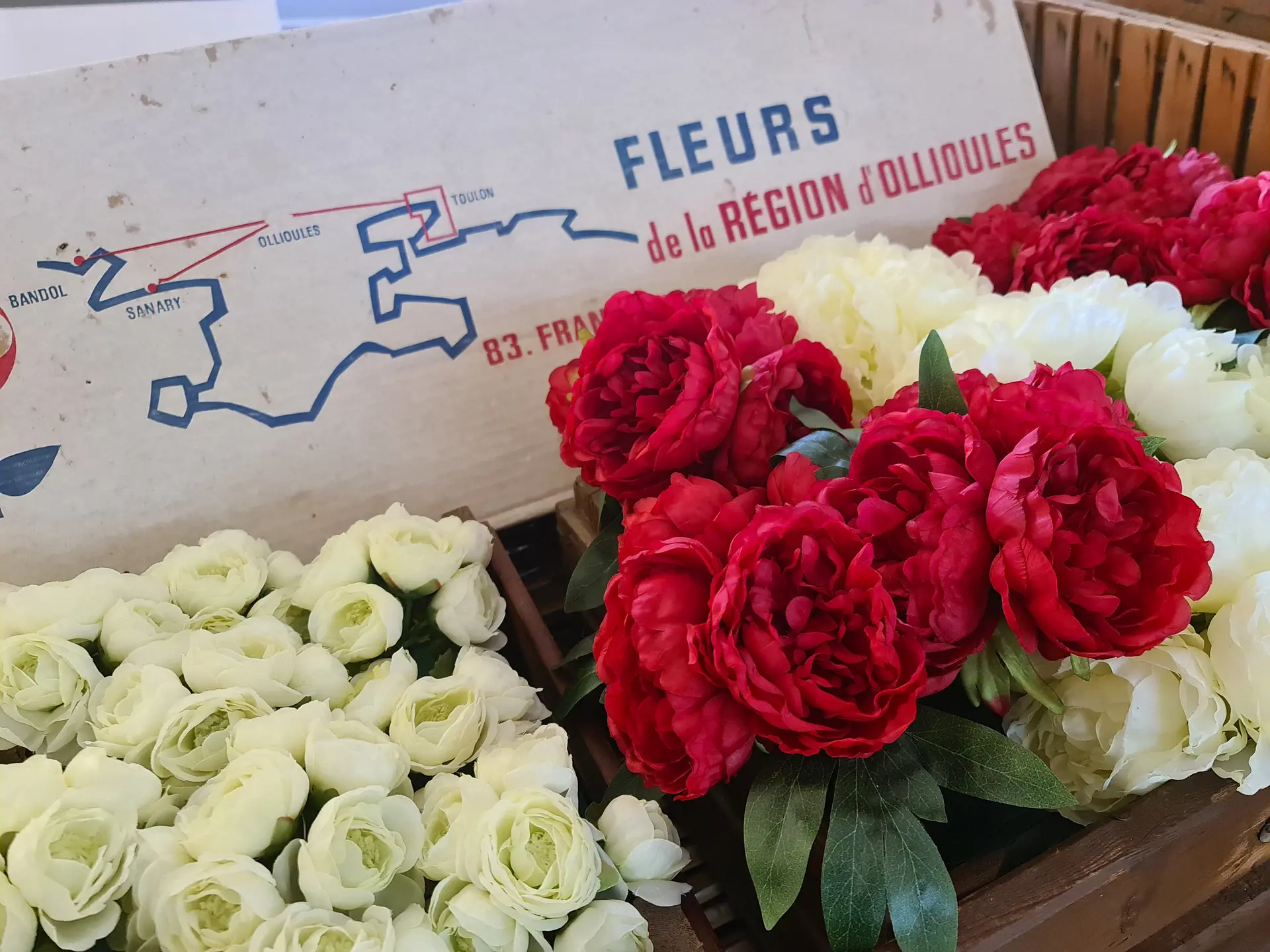 Visite commentée du Musée de la Fleur et de l'Olivier