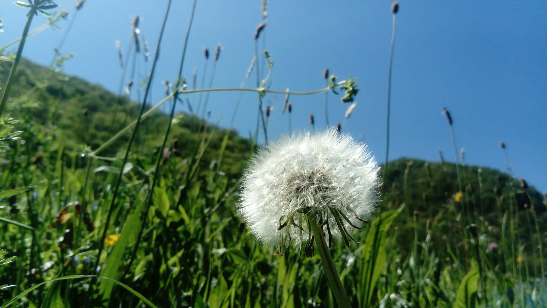 Immerssion sensorielle