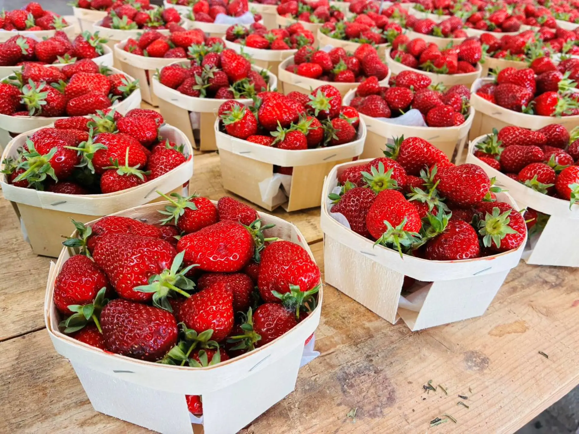 fraise de Pernes les Fontaines