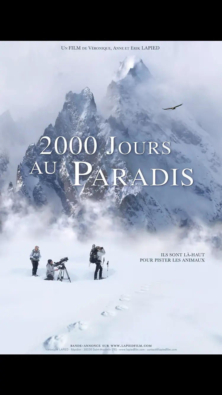 Photo de la couverture du film