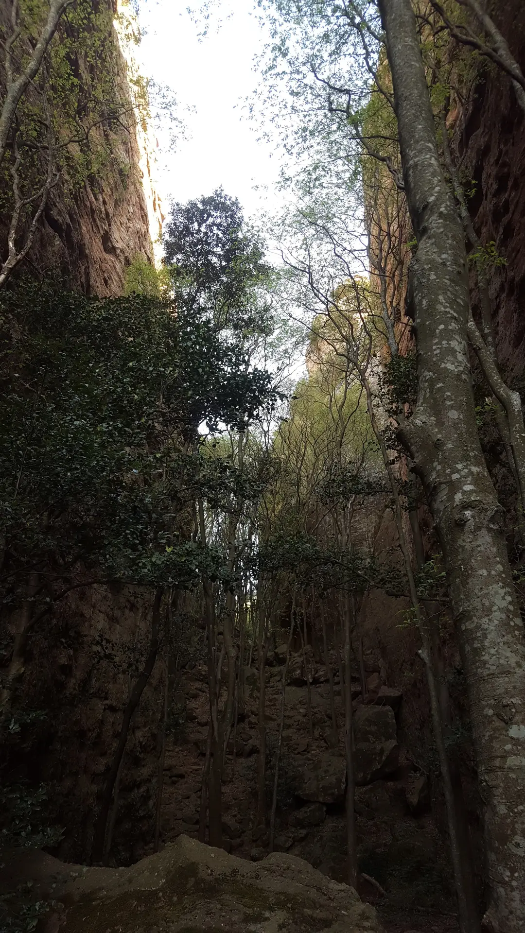 Domaine de la Roquette