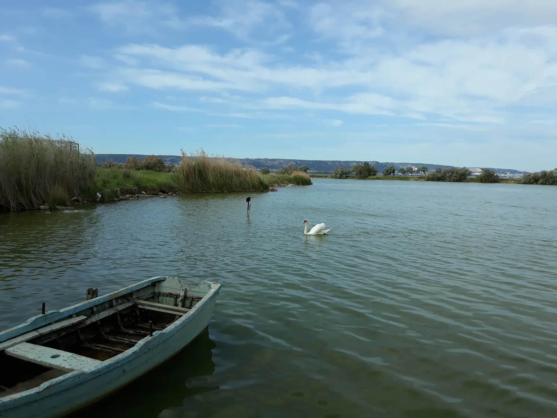Etang de Bolmon