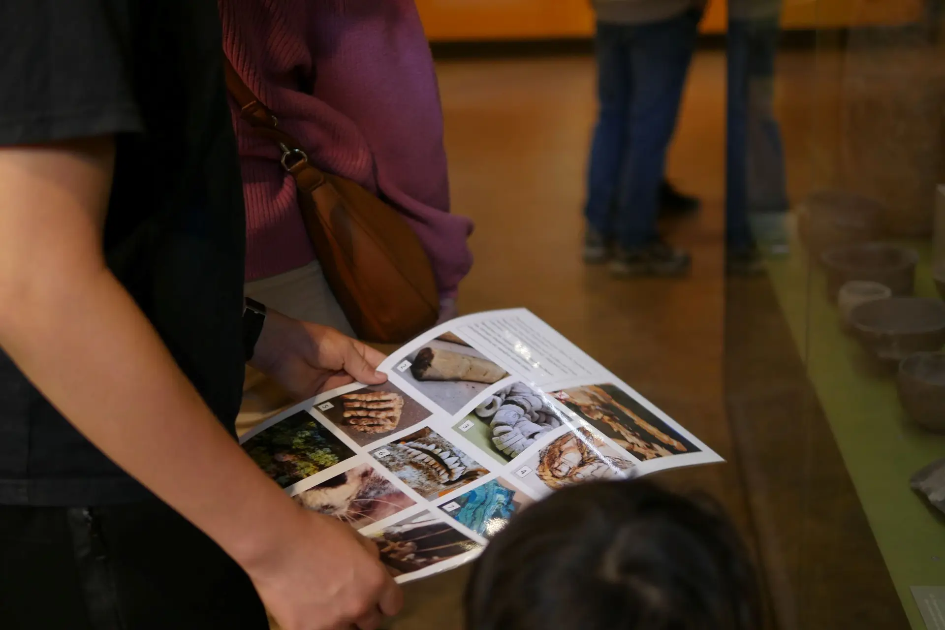 Visite œil de Bonelli le 1er février