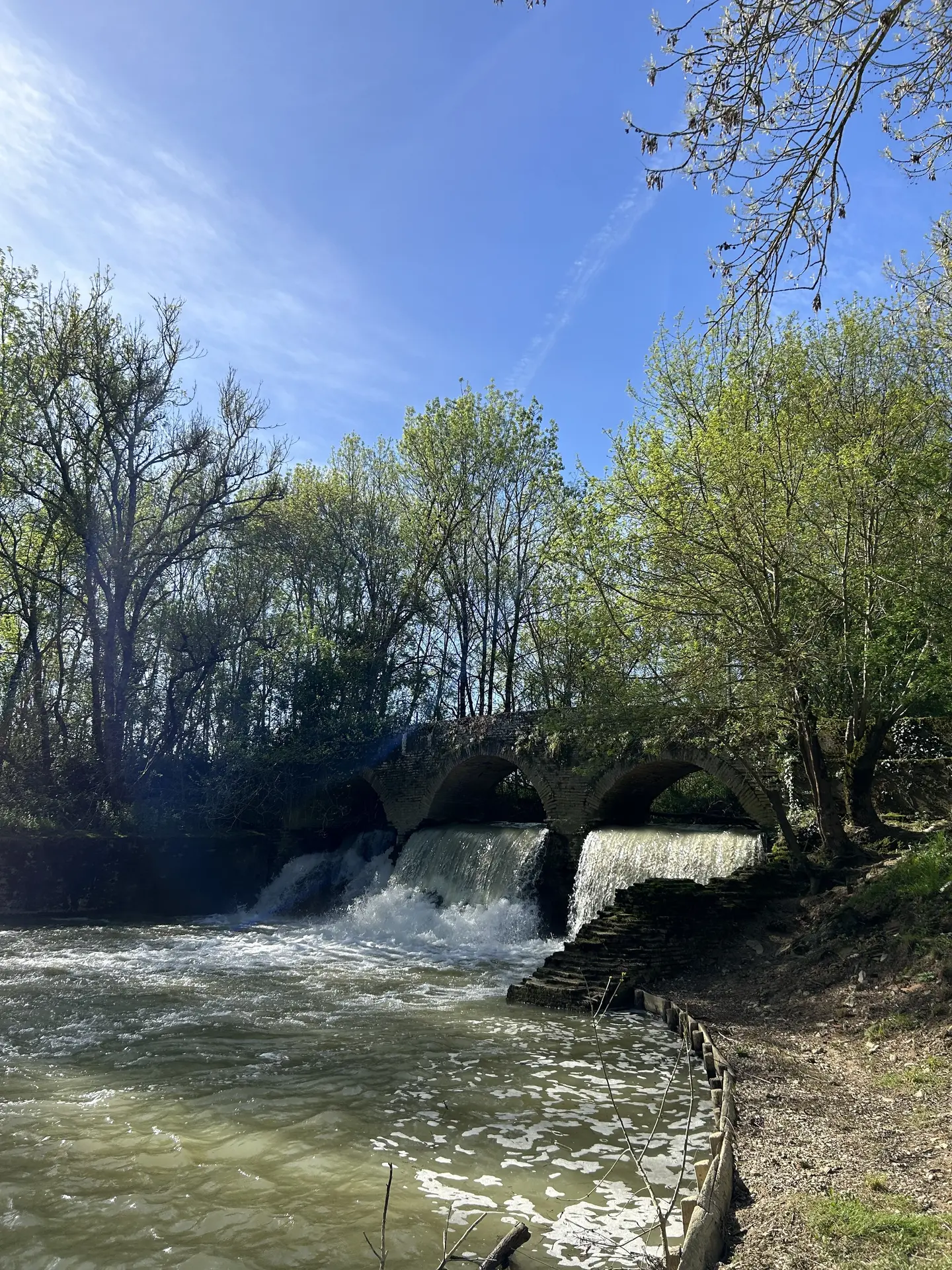Balade nature créative au lac