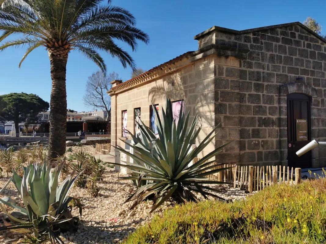 Dans la peau d'un aventurier