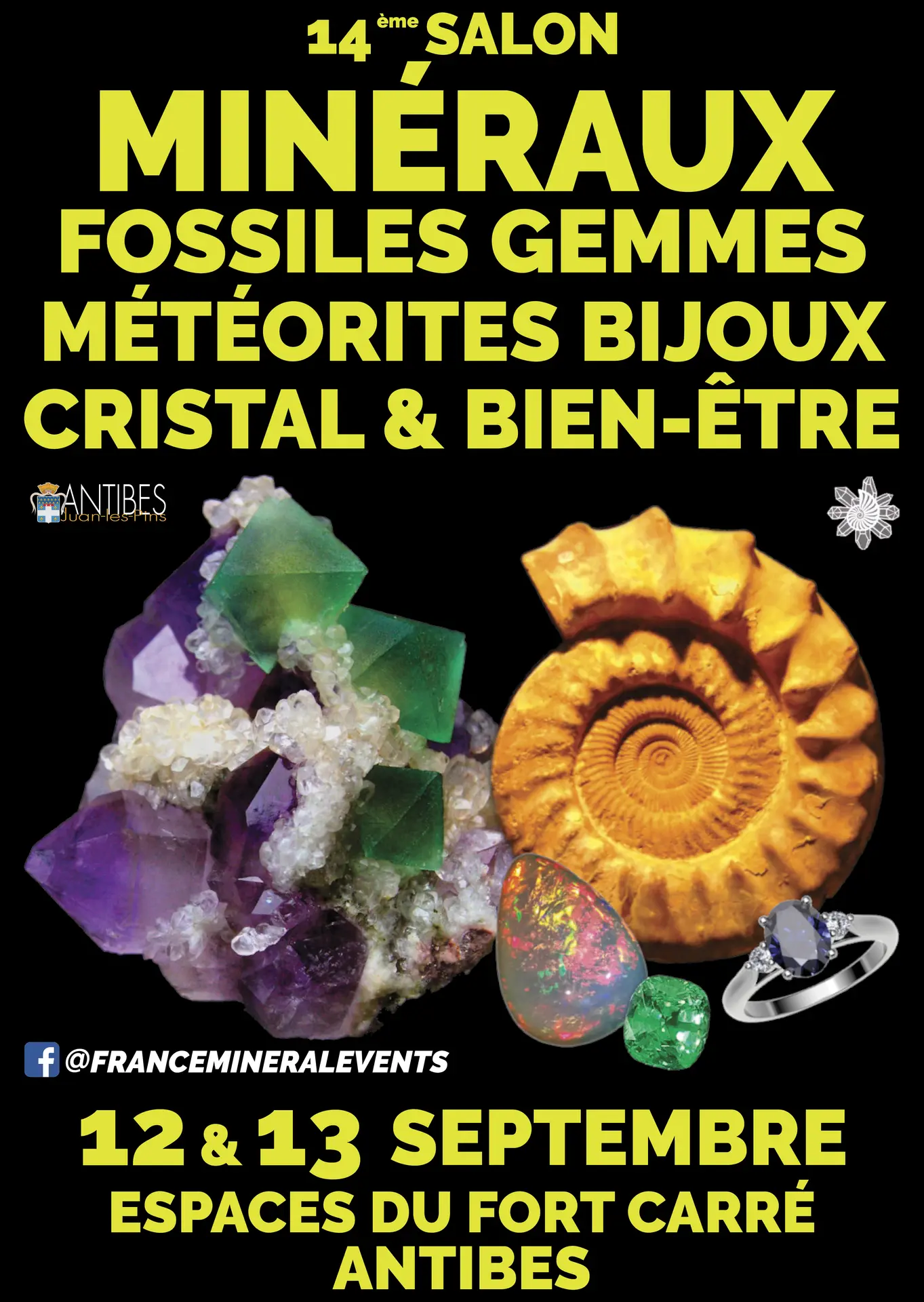 affiche du 14ème Salon des Minéraux & Fossiles d'Antibes_Antibes