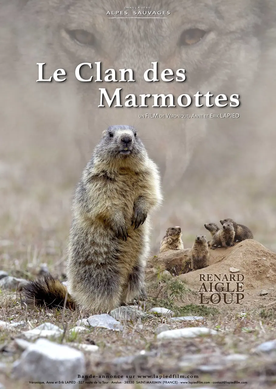 LE CLAN DES MARMOTTES