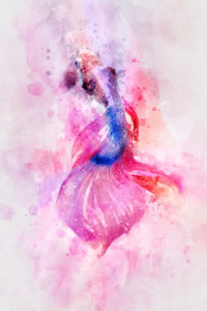 Atelier aquarelle