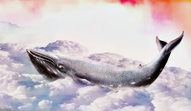 Des baleines dans le Léman