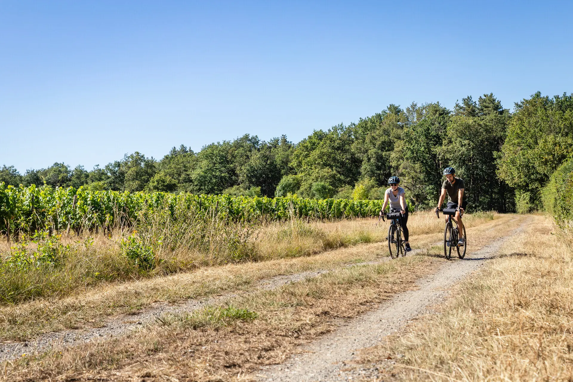 Cyclistes en Gravel au cœur du vignoble