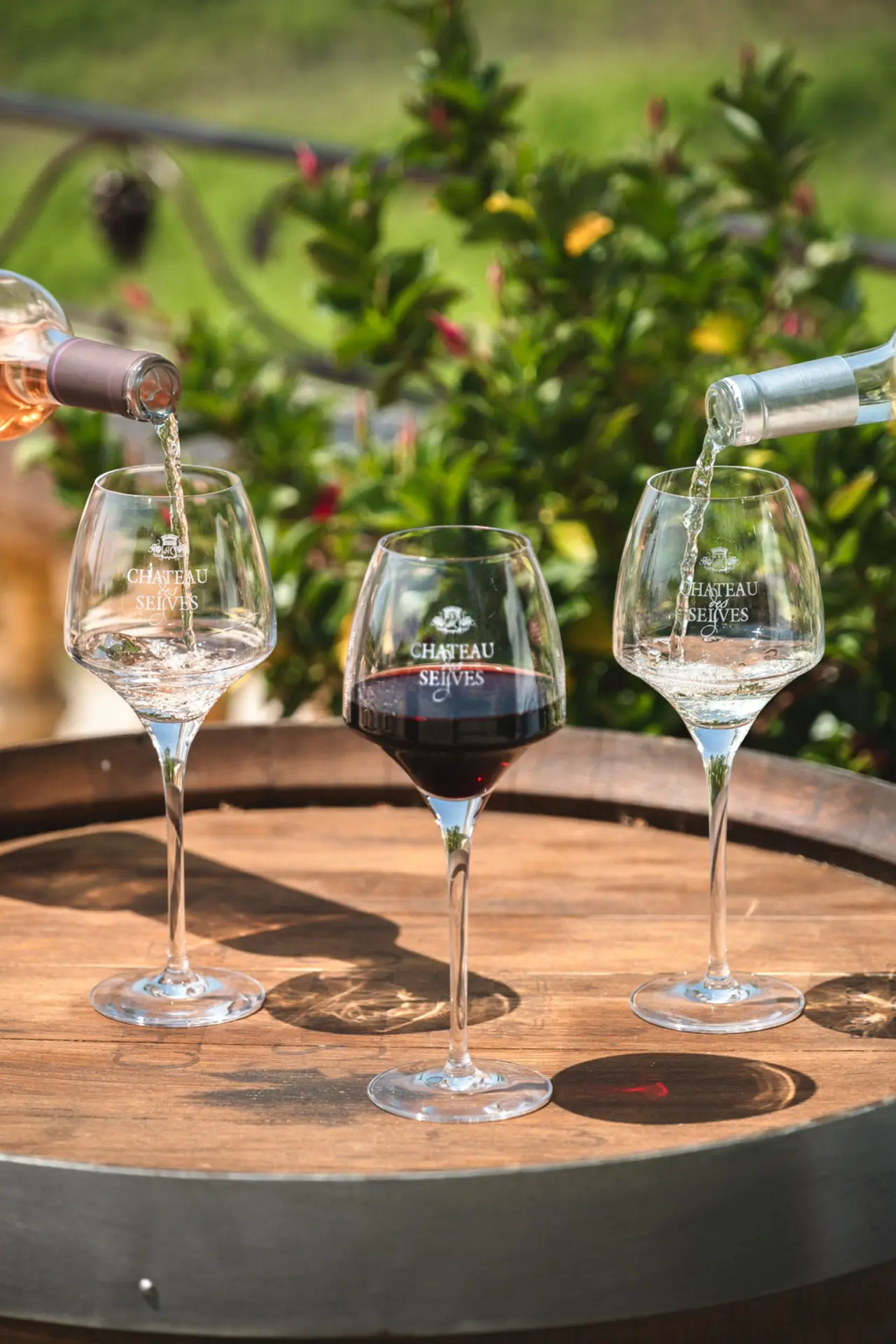 vins des Selves