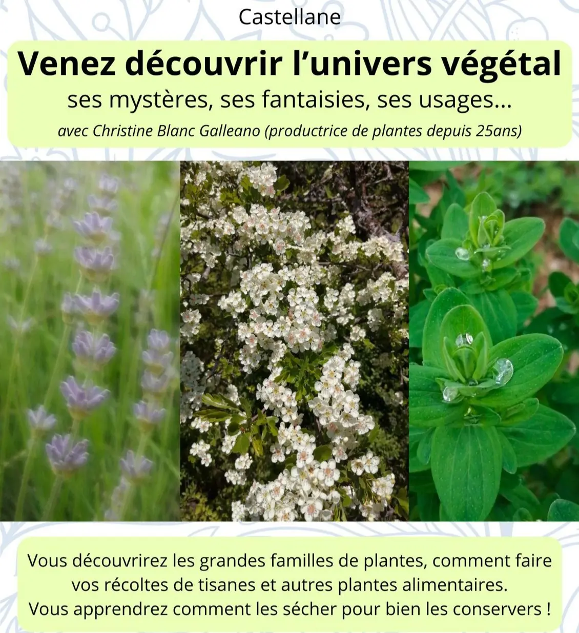 sorties du 14 et 15 septembre