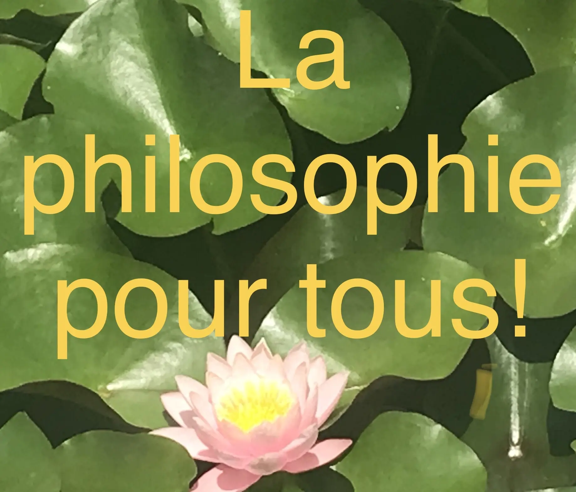 Qu'est-ce que le chamanisme