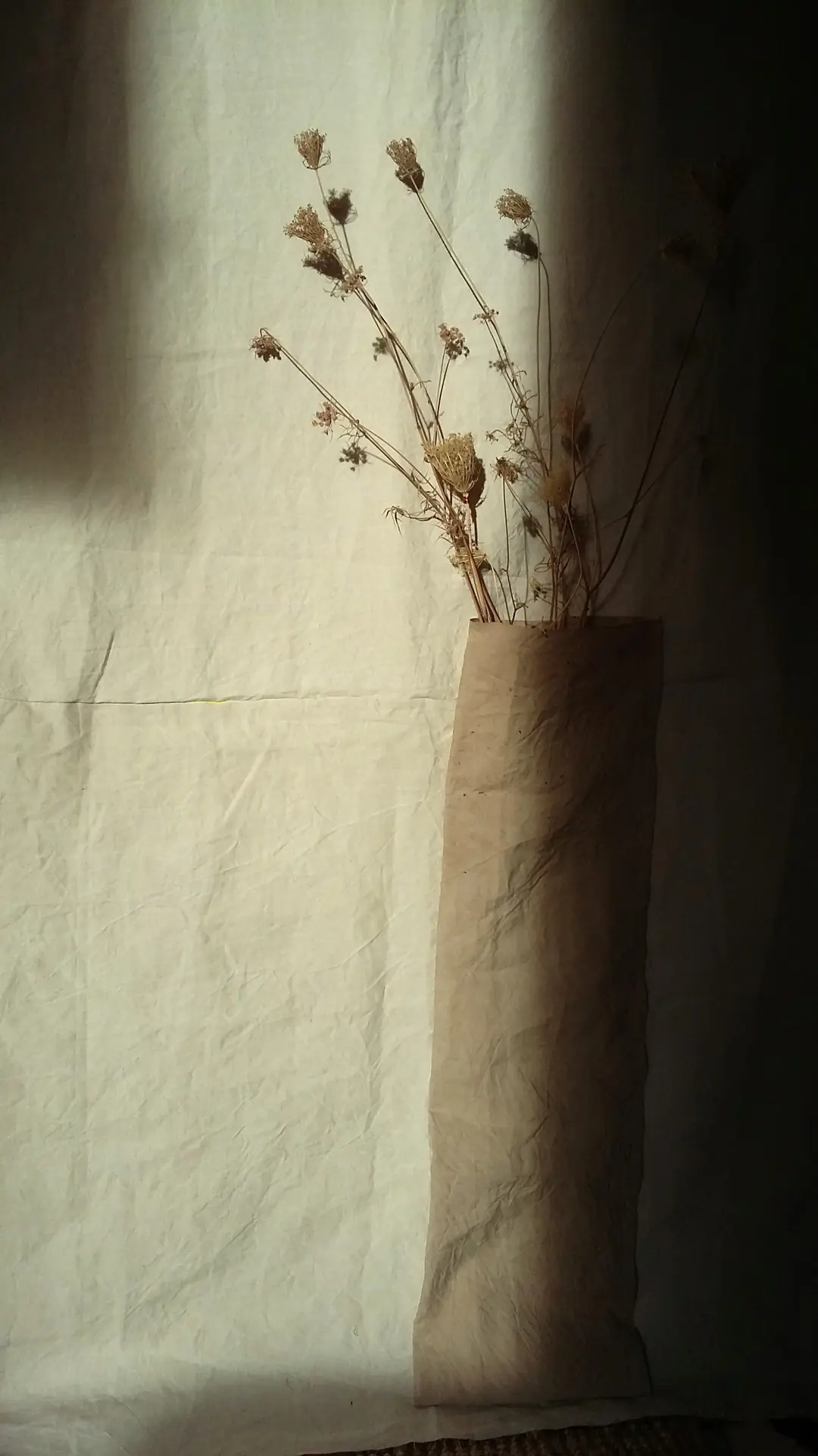 Exposition temporaire d’Eve Pietruschi « Un geste vers le bas »