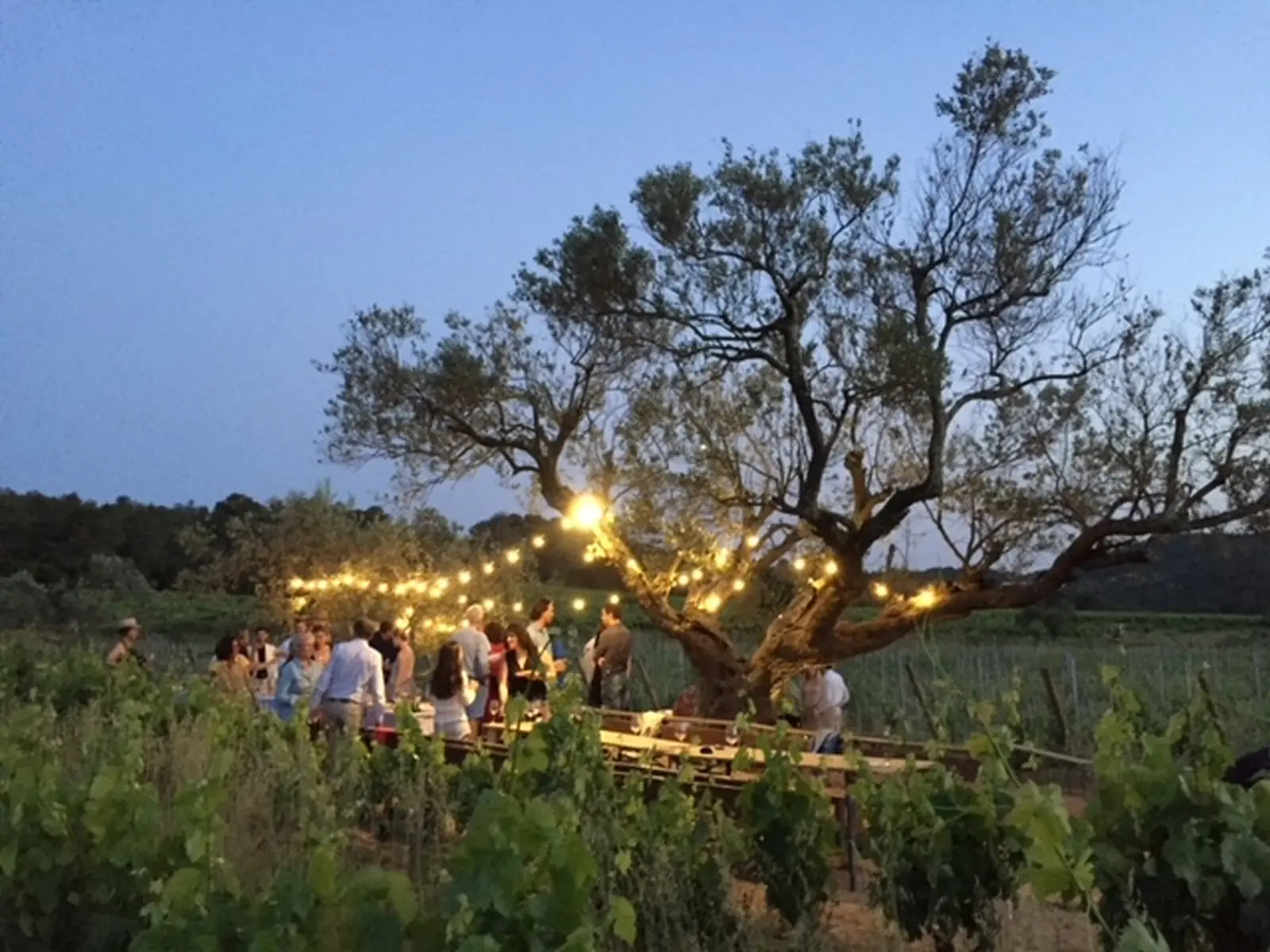 soirées d'été domaine de Favanquet