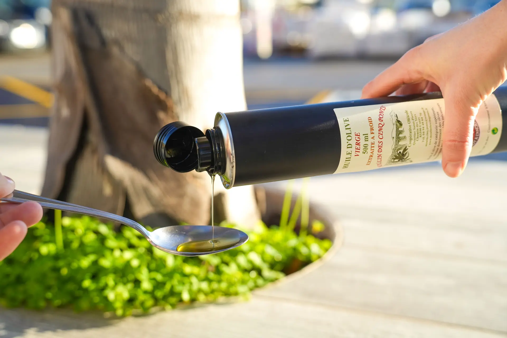 Huile du Moulin des Cinq Ponts à Cuers