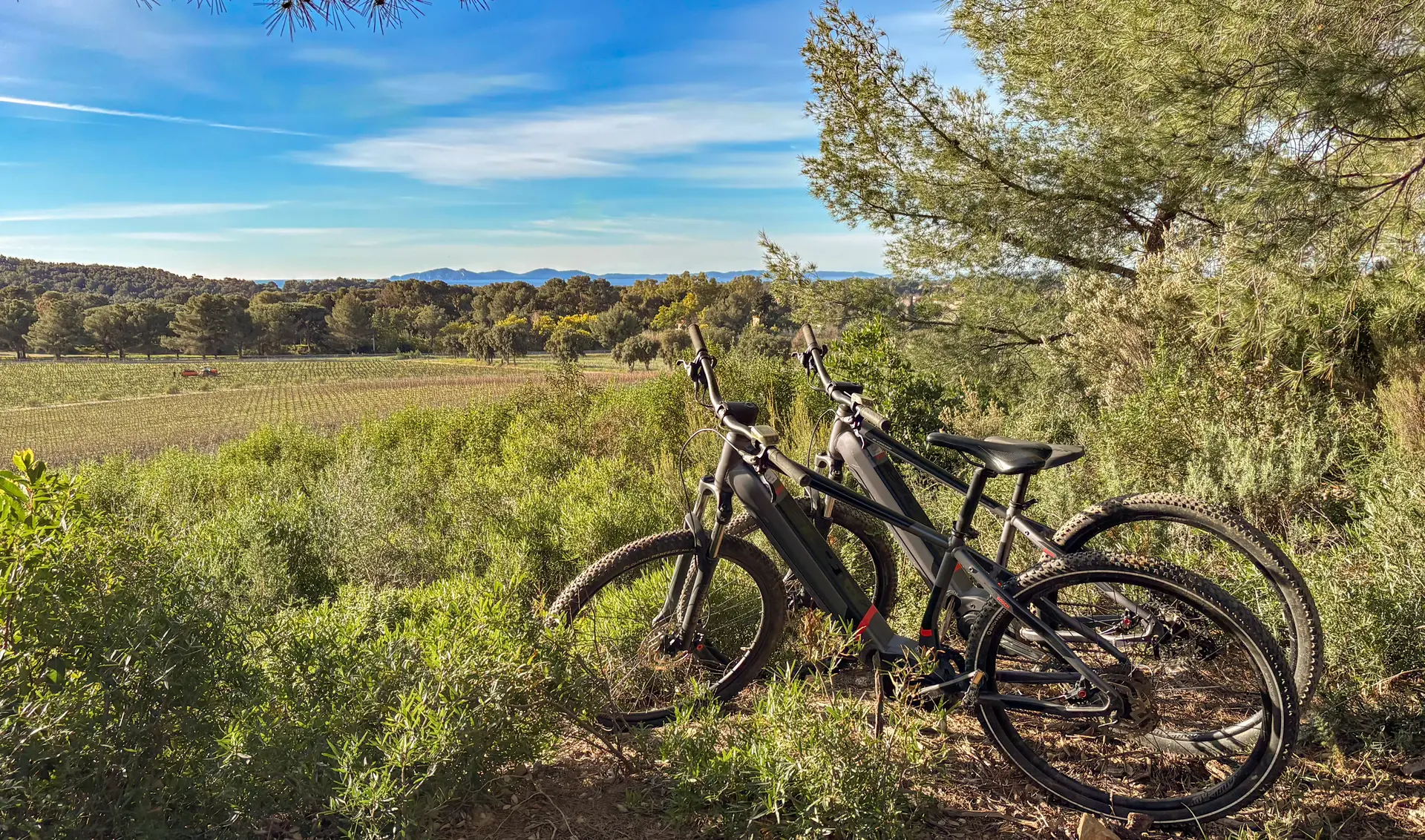Flânerie Œnologique en VTT électrique dans les vignes à Figuière à La Londe-les-Maures