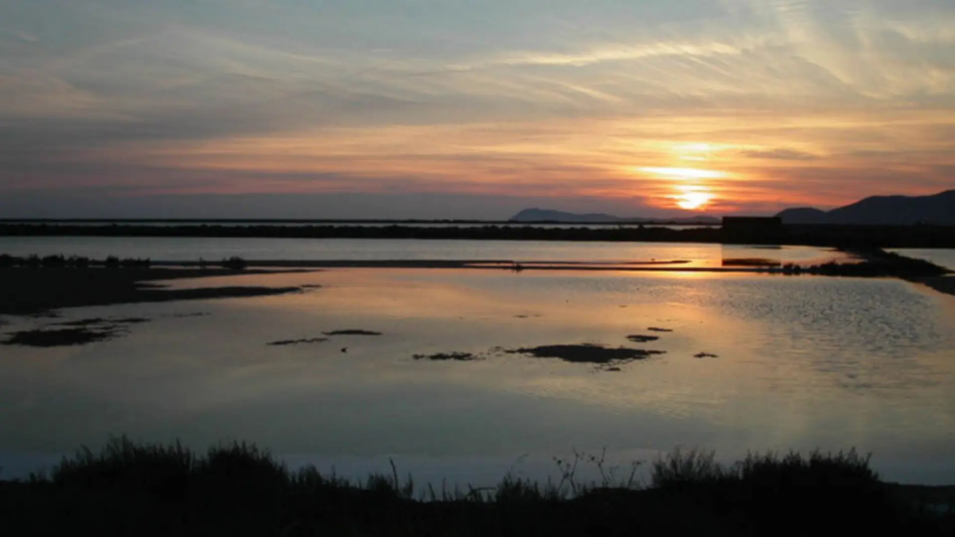 Lieu-dit de la Darse Observatoire ornithologique du Salin des Pesquiers
