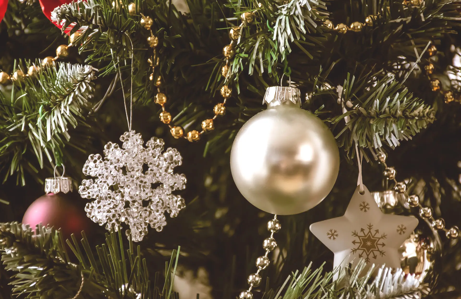 marché Noel Le Causé