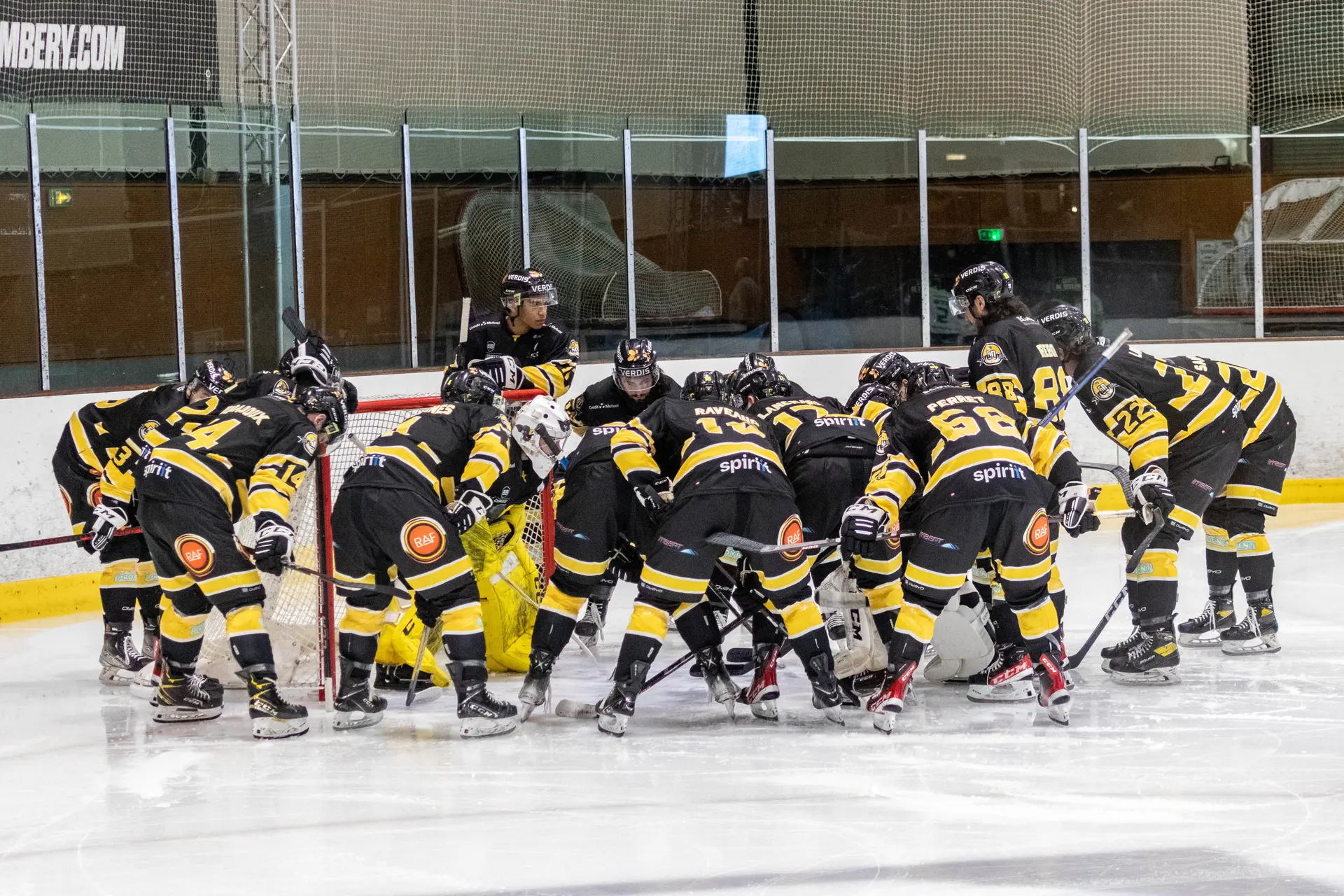 Les éléphants - Chambéry