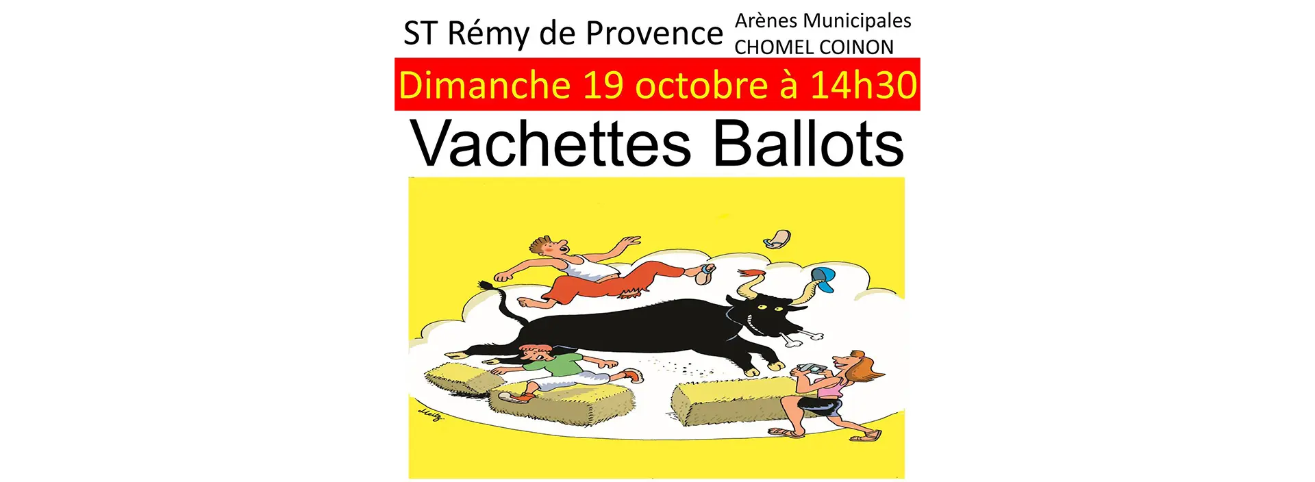 Vachettes Ballots_Saint-Rémy-de-Provence