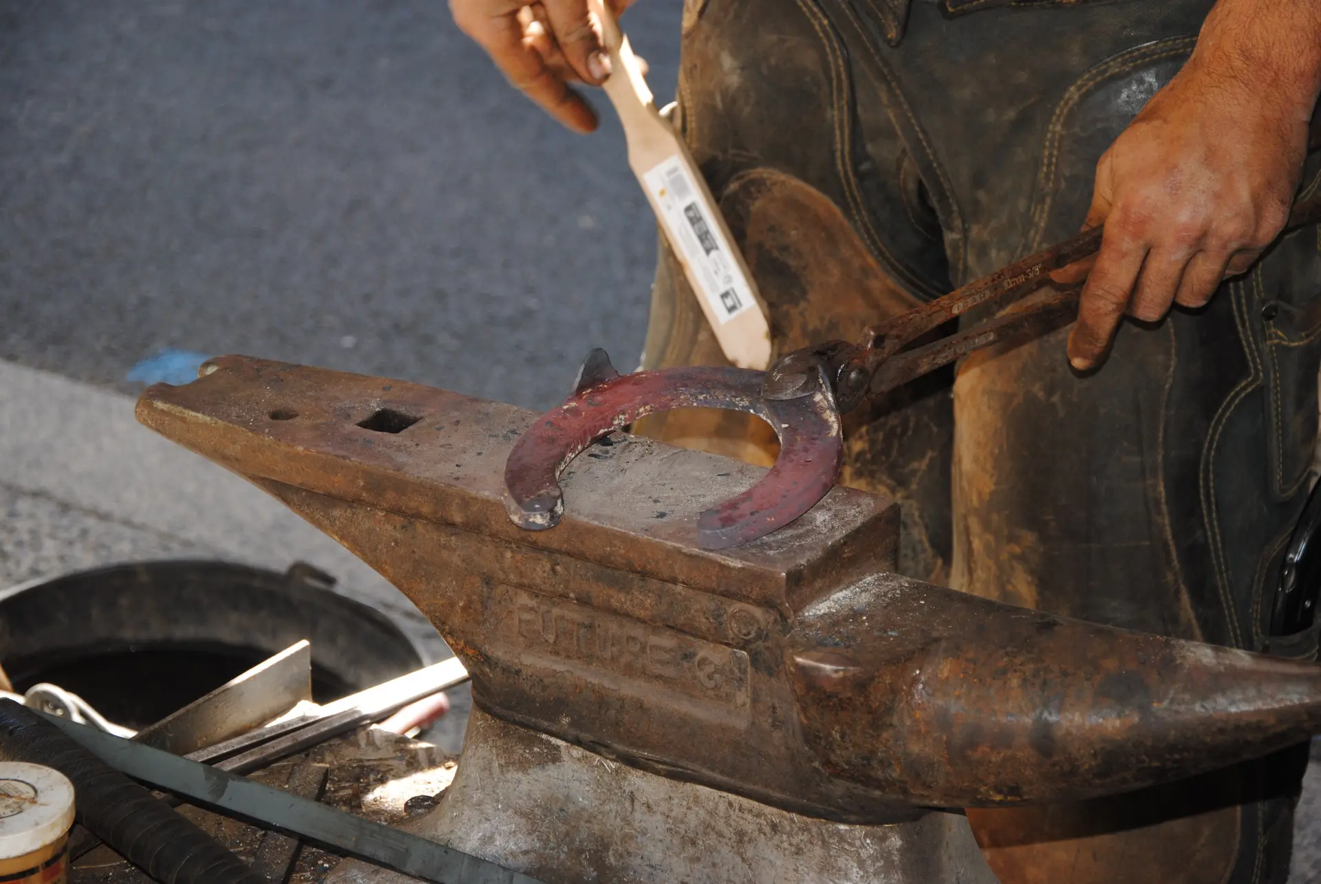 Foire agricole de la Saint-Michel_Gardanne