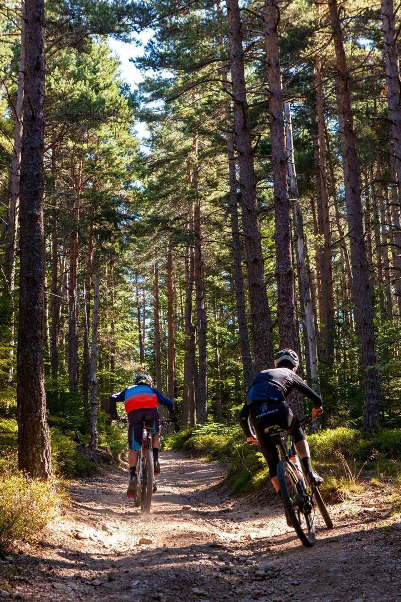 circuit vtt les 3 ponts