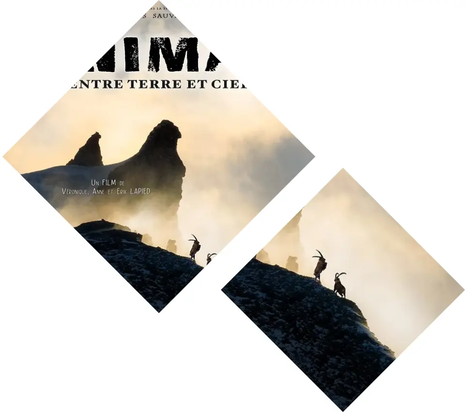 Photo paysage - Film Lapied «Animal entre terre et ciel»