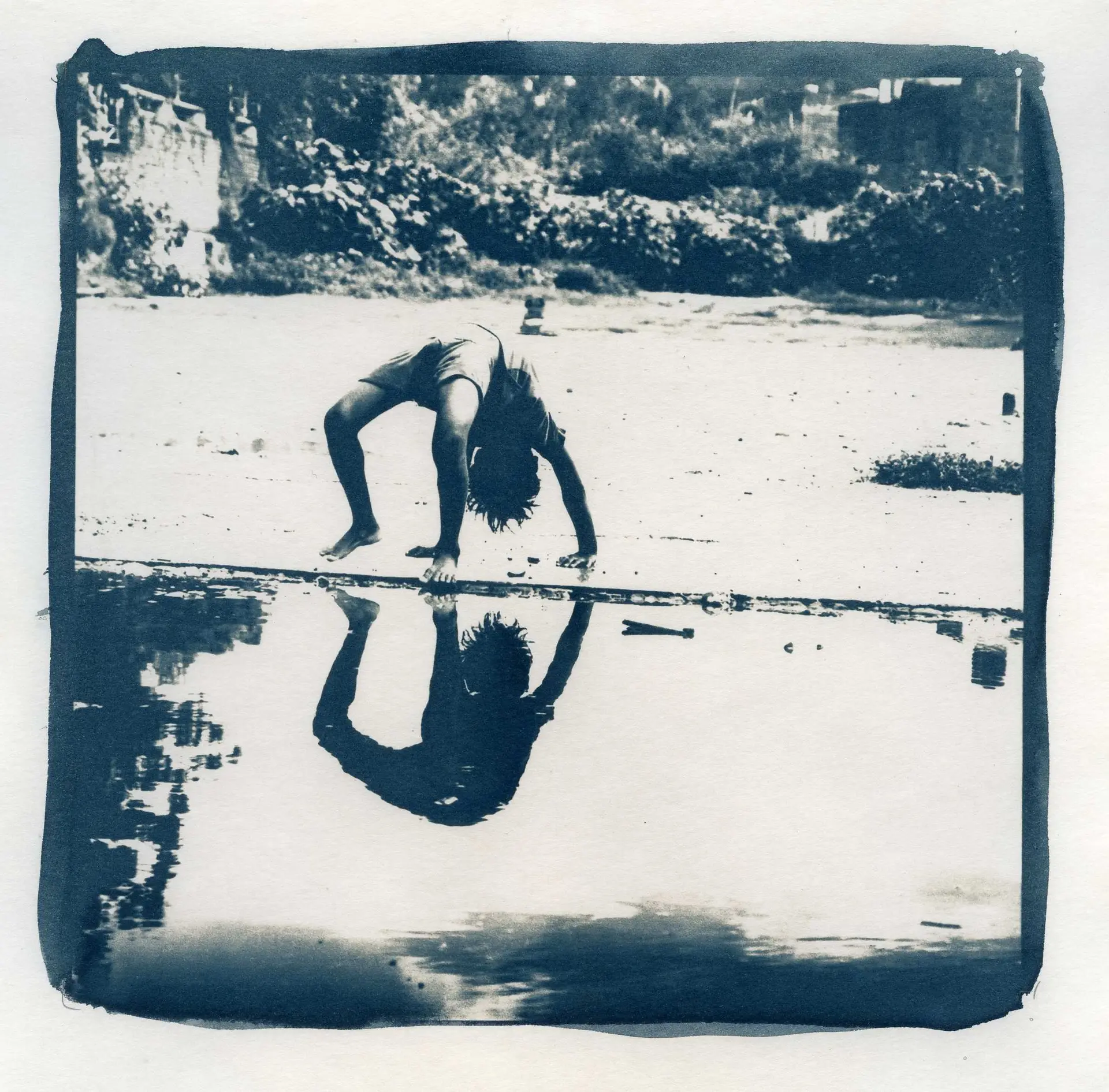 Cyanotype_Inde