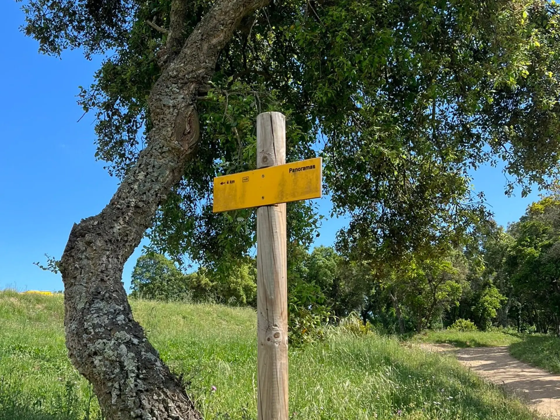 Randonnée des Panoramas